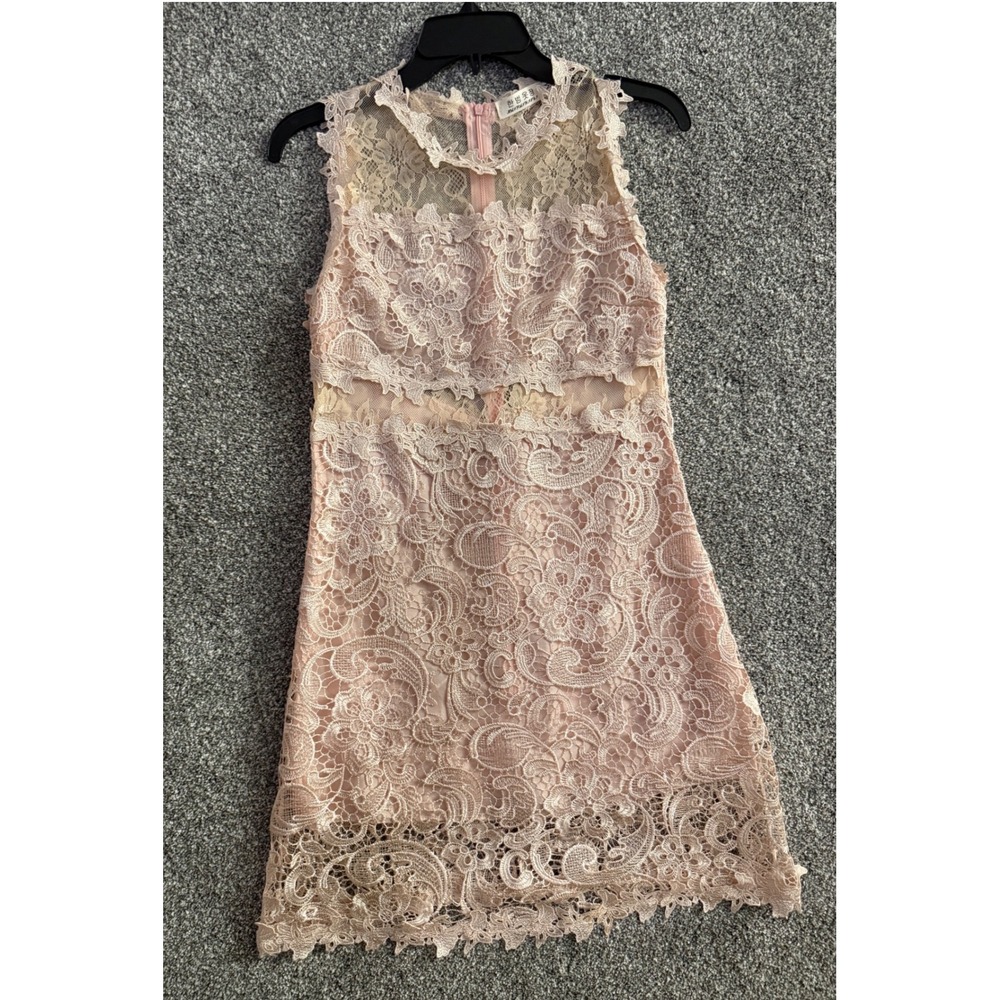 Hanfanyigui Lace Mini Dress M Pink Sleeveless Sheer Mesh Floral Coquette Dress